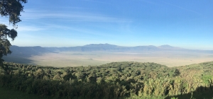 Tanzania 2: Ngorongoro Crater and Southern Serengeti