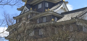 Shinkanshen – Black castle – New art – Old ryokan