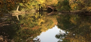 Indian Summer